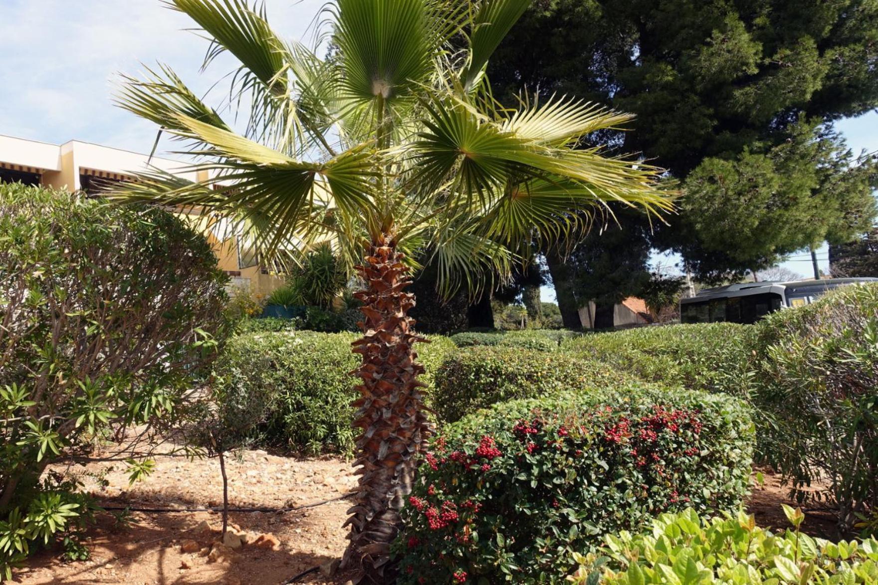 Les Jardins De Bandol, Piscine Privee, Belle Vue Mer Dış mekan fotoğraf