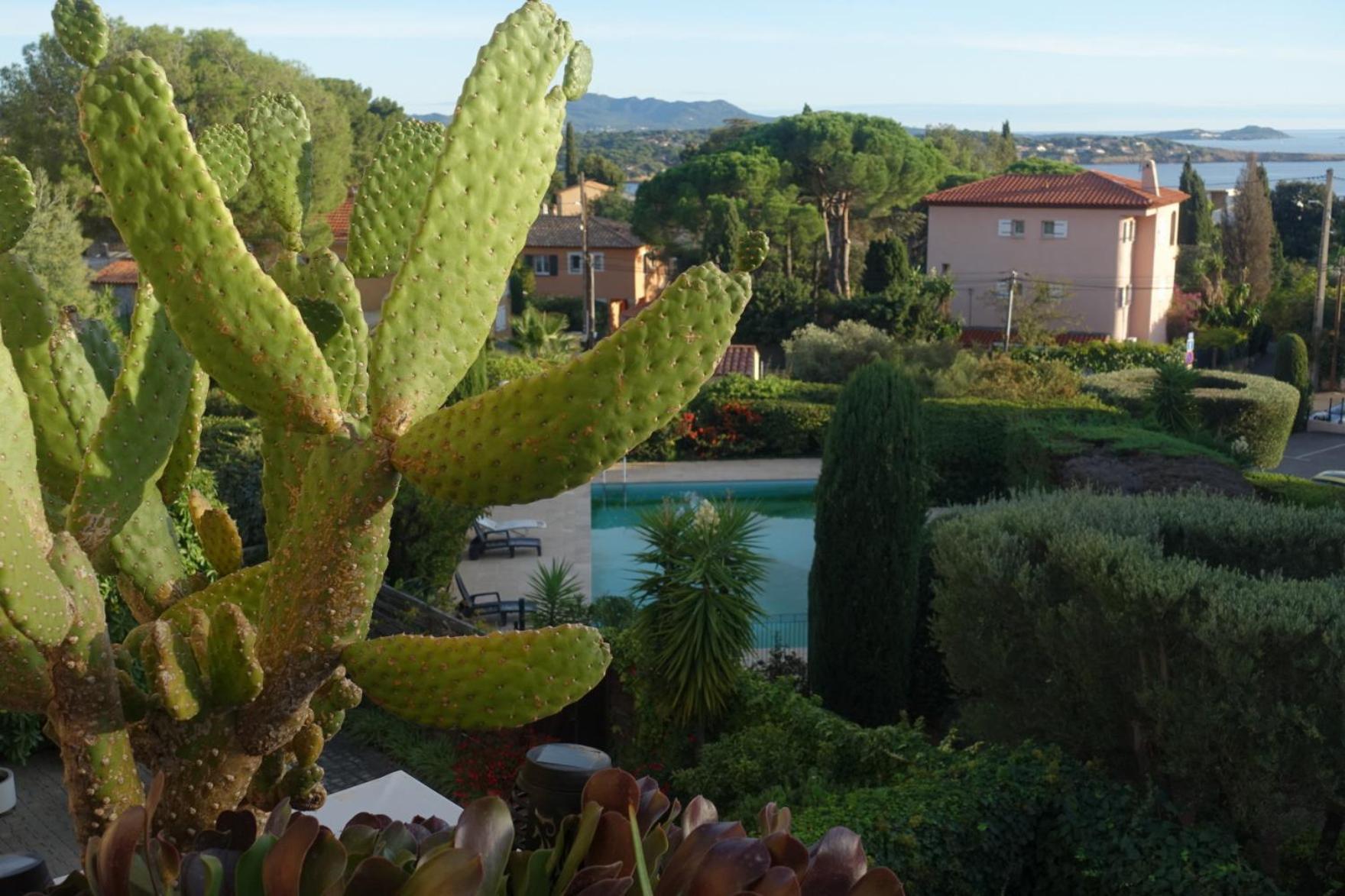 Les Jardins De Bandol, Piscine Privee, Belle Vue Mer Dış mekan fotoğraf